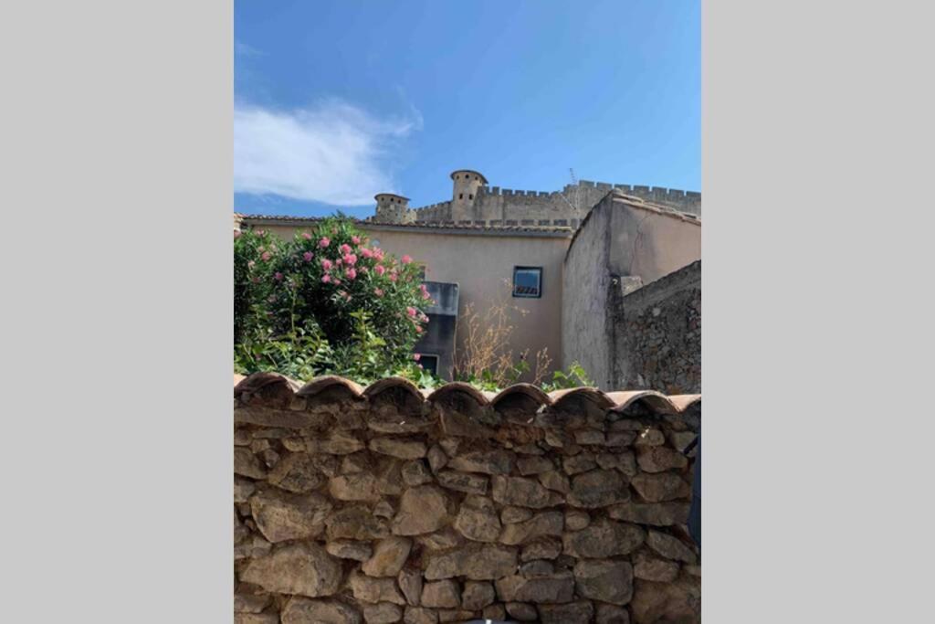 Maison Rue Trivalle Carcassonne Exterior photo